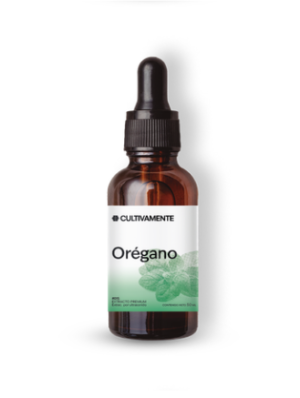 Orégano